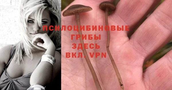 MESCALINE Абаза