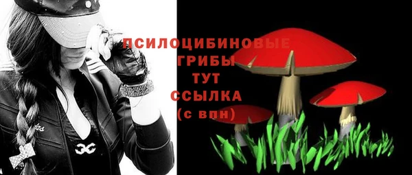 apvp Абдулино