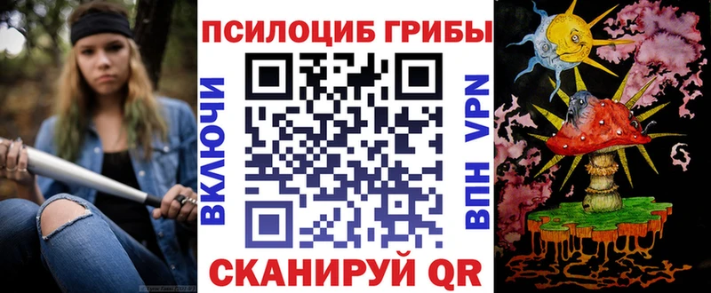 ссылка на мегу ТОР  Агрыз  Псилоцибиновые грибы Psilocybe 